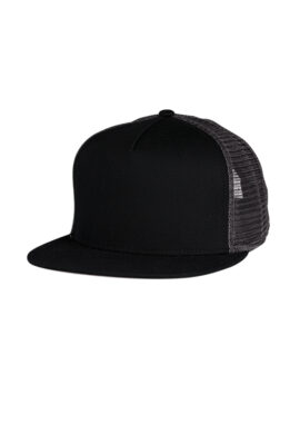 Skater Hat (1541124)